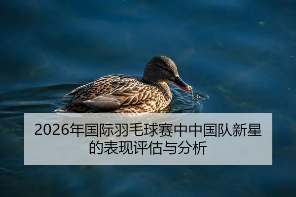 2026年国际羽毛球赛中中国队新星的表现评估与分析
