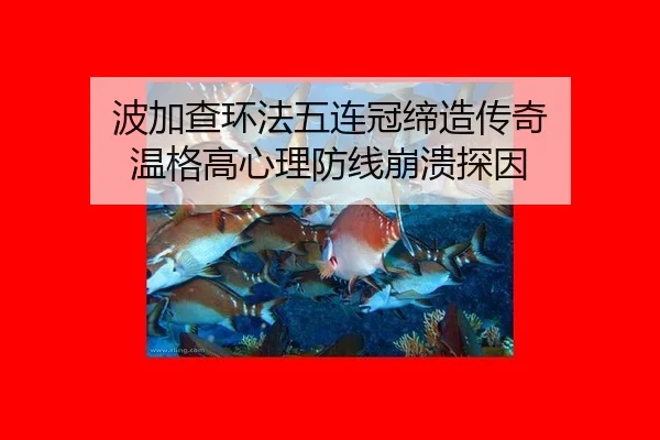 bo-jia-cha-huan-fa-wu-lian-guan-di-zao-chuan-qi-wen-ge-gao-xin-li-fang-xian-beng-kui-tan-yin-3-564.jpg